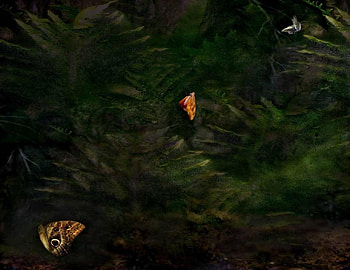 Butterfly Art, butterflies, green leaves, art HD wallpaper