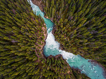 Aerial, , River, Forest, Nature HD wallpaper