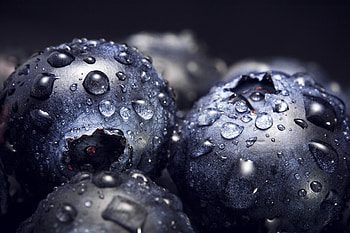 Bilberries, Drops, Macro, Close-Up HD wallpaper