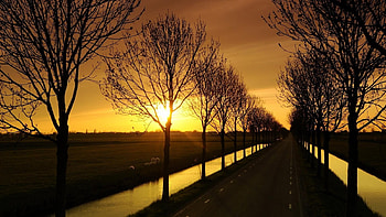 The Day is Gone, sunny, horizon, landscape, trees, road, nature, gold, sunset HD wallpaper