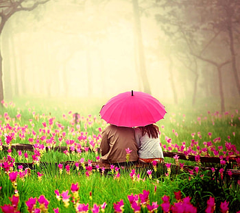 Love Couple In Pink Garden, love, couple, pink, flowers, umbrella HD wallpaper