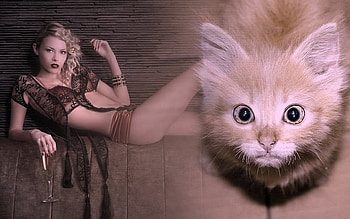 what are you looking at, cats, fantasy, woman, dream HD wallpaper