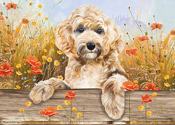 Cockapoo View, dog, flowers, painting, blossoms HD wallpaper
