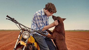 Red Dog movie, Australian outback, Childhood friends, Heartwarming tale HD wallpaper