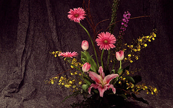 Flowers, Tulips, Gerberas, Lily, Composition, Ikebana HD wallpaper