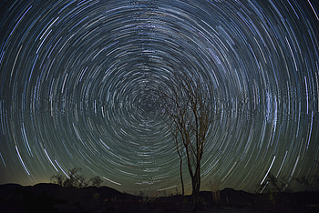 Nature, Stars, Wood, Tree, Starry Sky, Long Exposure, Rotation HD wallpaper