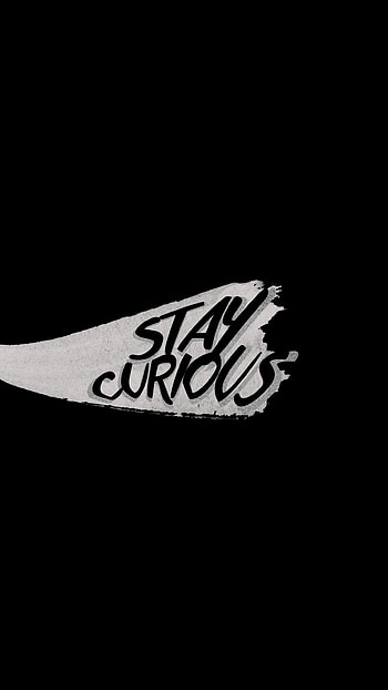 Stay Curious, life, curious, focused, stay HD phone wallpaper