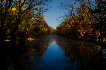 Nature, Rivers, Trees, Autumn, Reflection HD wallpaper