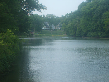 Francis' Pond, graphy, scenic, view, nature, lake, pond HD wallpaper