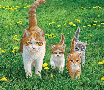Proud Mummy, lawn, blossoms, cats, garden, cubs HD wallpaper