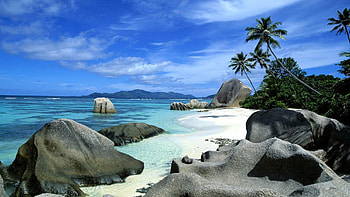 Beach stones, Palms, Black day, Ultra HD wallpaper
