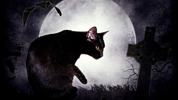 The black cat, white, black, cross, cat, pisica, halloween, moon, fantasy, luna HD wallpaper