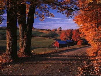 Country Home, trees, autumn, sky, home HD wallpaper