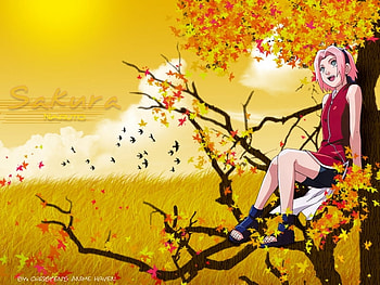 Cherry Blossom's(sakura), blossems, cheery, haruno, sakura HD wallpaper