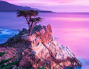 ocean view, fun, cool, nature, sunset, ocean HD wallpaper