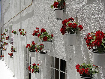 bodrum house,turkey, white, turkey, house, flowers, bodrum HD wallpaper