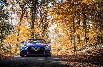 Mercedes AMG GT C Roadster 2018, mercedes-amg, mercedes, 2018-cars HD wallpaper