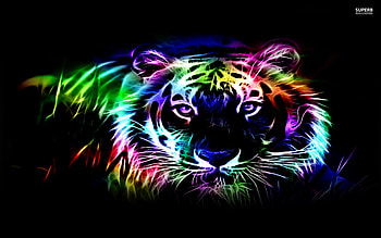 Neon Animal s HD wallpaper