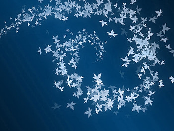 Spiral of Leaves, blue, leaves, spiral HD wallpaper