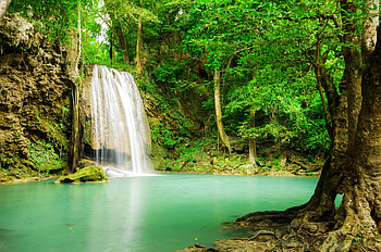 Greenery, , Waterfall, Nature, Waterfalls HD wallpaper