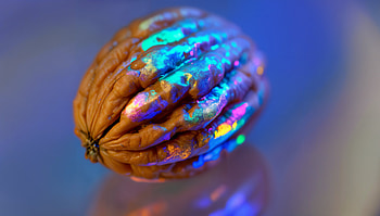 Whimsical Walnut: A Stunning Ultra, walnut, colorful, Abstract, food, close-up HD wallpaper
