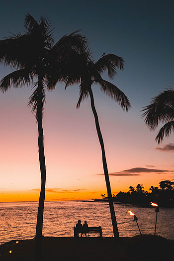 Sunset, Palms, Love, Silhouettes, Tropics, Romance HD phone wallpaper