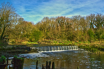 Beeleigh, trees, water, River HD wallpaper