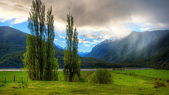 Landscape in New Zealand, Ultra , beauty, Stunning background HD wallpaper