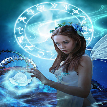 like me, fairy, magic, me, white rose, temptation, trap HD wallpaper