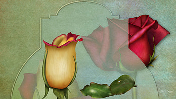 If Wishes Were Roses, summer, rose, glow, firefox persona, shine, fall, autumn HD wallpaper