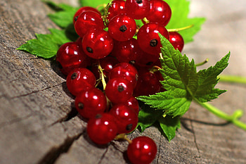 Berries, Red currants, Leaf , CC by license HD wallpaper