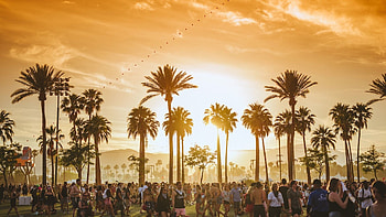Coachella, , Coachella, Backgrounds HD wallpaper
