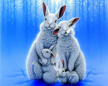 white rabbits, winter, blue, white, rabbits HD wallpaper