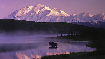 Alaska travels, , , Stunning backgrounds HD wallpaper