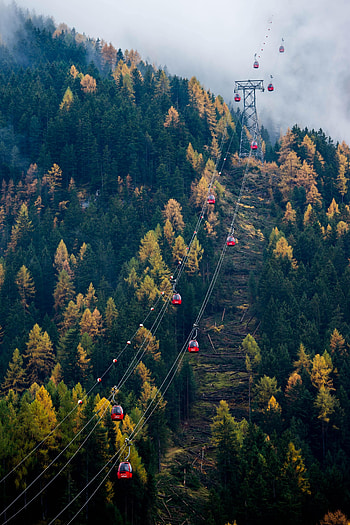 Nature, Trees, Forest, Cable Car, Cableway, Booths, Stall HD phone wallpaper