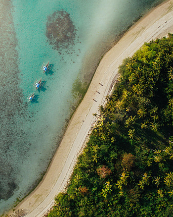 Nature, Sea, Beach, Palms, View From Above, Coast HD phone wallpaper
