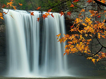 Waterfall, leaves, fall, branches, autumn, nature HD wallpaper