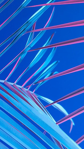 Aesthetic, Blue Color, Background HD phone wallpaper