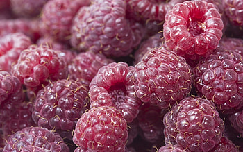 Food, Raspberry, Sweet, Berry, Ripe HD wallpaper
