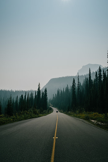 Mountains, Nature, Road, Markup, Fog, Traffic, Movement HD phone wallpaper