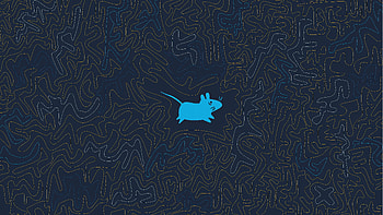 Xfce Linux Operating System, linux, artwork, art, digital-art, computer HD wallpaper