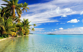 Landscape, Sea, Palms HD wallpaper