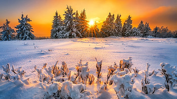 Golden Hour, sunrays, snow, landscape, trees, colors, sky, sun, hill HD wallpaper