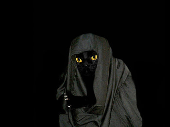 Familiar, animal, artwork, abstract, robe, claws, cat HD wallpaper