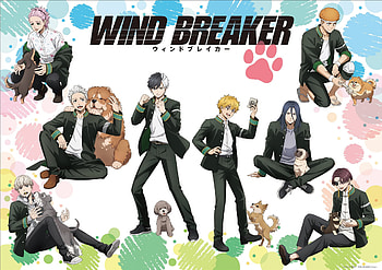 Anime, Wind Breaker HD wallpaper