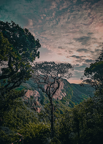 Mountain Beauty, cloud, sky, Srilanka, nature, dark HD phone wallpaper
