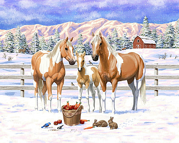 Breakfast for all, winter, mountains, animals, snow HD wallpaper