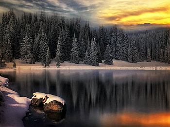 winter lake, trees, winter, lake, dark HD wallpaper
