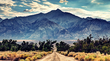 mountain road, hills, plants, dirtroad, trees, road, mountain HD wallpaper