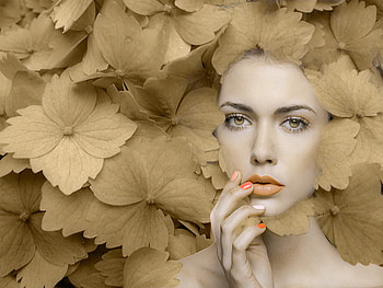 Hidrangea, model, beautiful, people, nice, woman, lady, pretty, she, look, female HD wallpaper